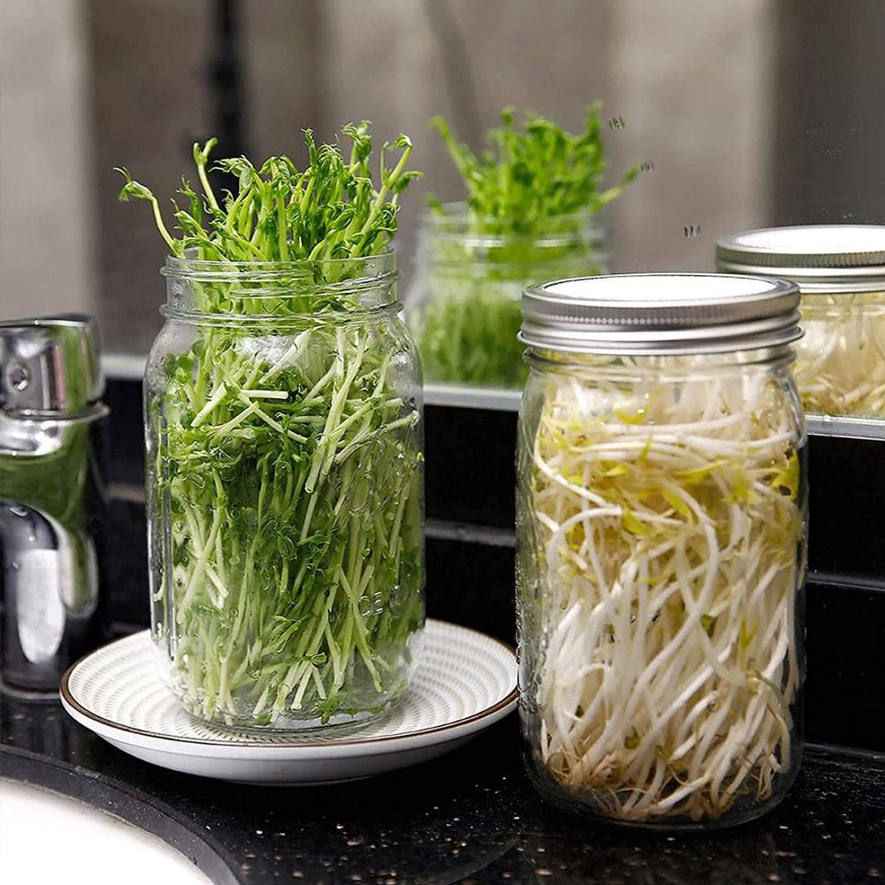 Wide Mouth Stainless Steel with Stand Germination Cover Mason Jars Sprouting Jar Kit Sprouter