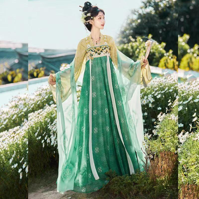 Authentic Tang Dynasty Style Hanfu Set Womens Wrap Skirt Outfit With Floral Print Embroidery