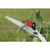 Takagi Saw Replacement Blade for Takagi Cutting Scissors 240mm