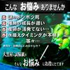 Honpo Medaka Water Quality Test Kit Ammonia Plus Water Quality Test Papers for Medaka Medaka Ammonia Medaka Medaka Water Quality Ammonia Water Medaka
