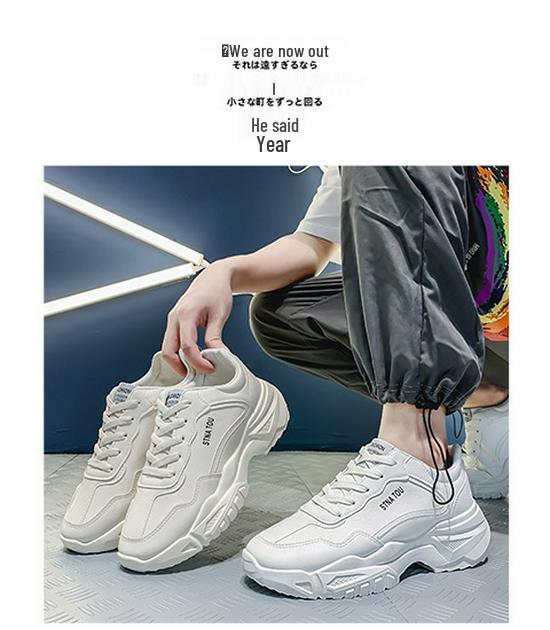 Men's 2025 Summer White Breathable Korean-Style Height-Increasing Casual Sports Dad Shoes