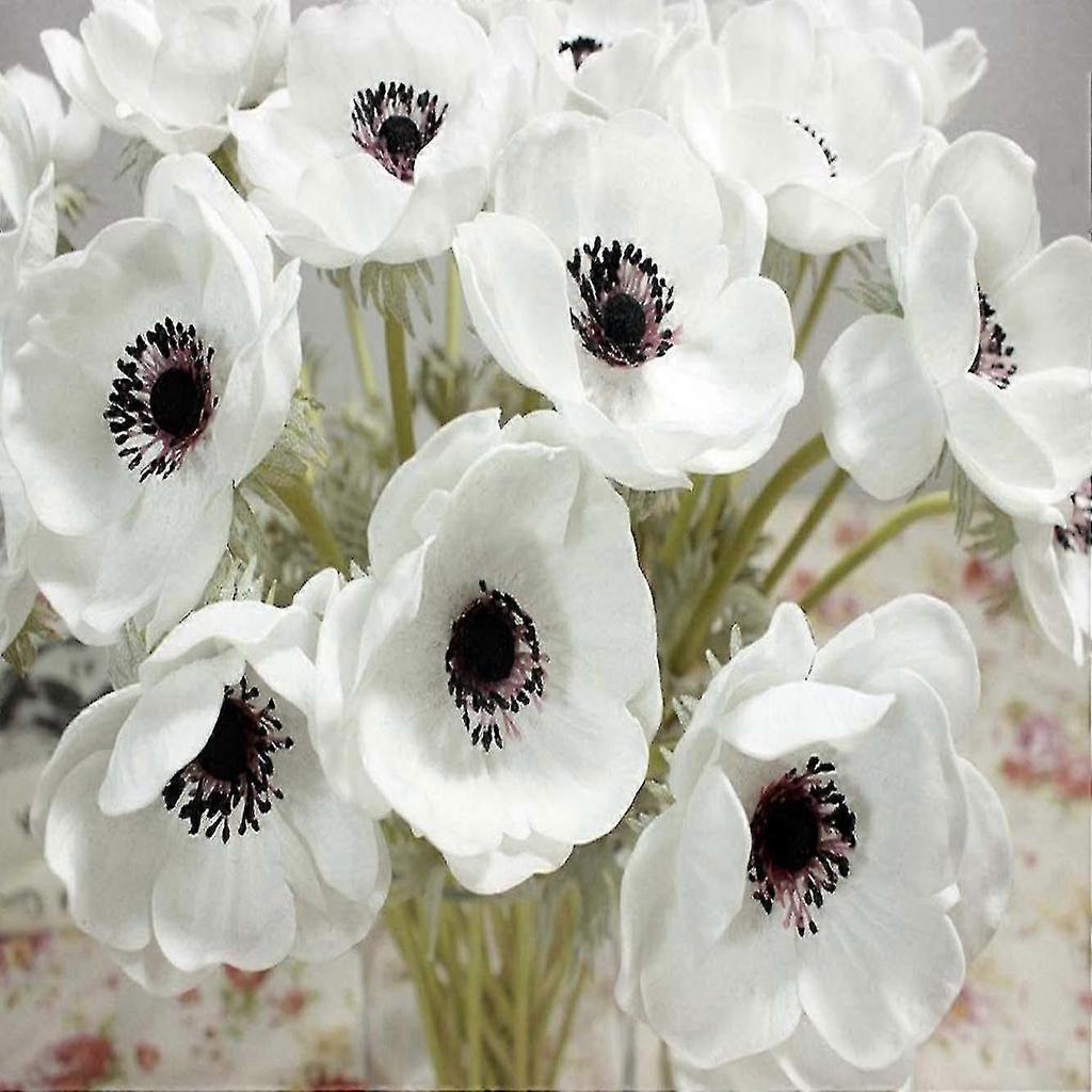 Artificial Real Touch Dandelion Bouquet Indoor Home Decoration (white - 10 Pieces)