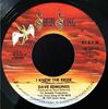 7inch Record DAVE EDMUNDS  I Knew The Bride  Little Darlin SS70113 SWAN SONG 1977 US Rock Used