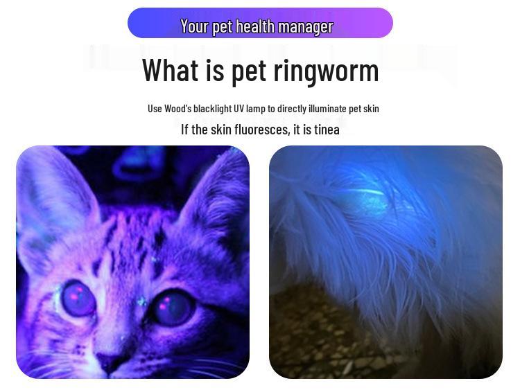 Wood's Katze Ringwurm Erkennung LED: USB-Wiederaufladbares UV-Schwarzlicht zur Erkennung von Geld, Urin und Pilzen