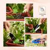 4-Piece Gardening Tool Set | Hand Cultivator, Trowel, Garden Fork, Pruner | Wooden Handle