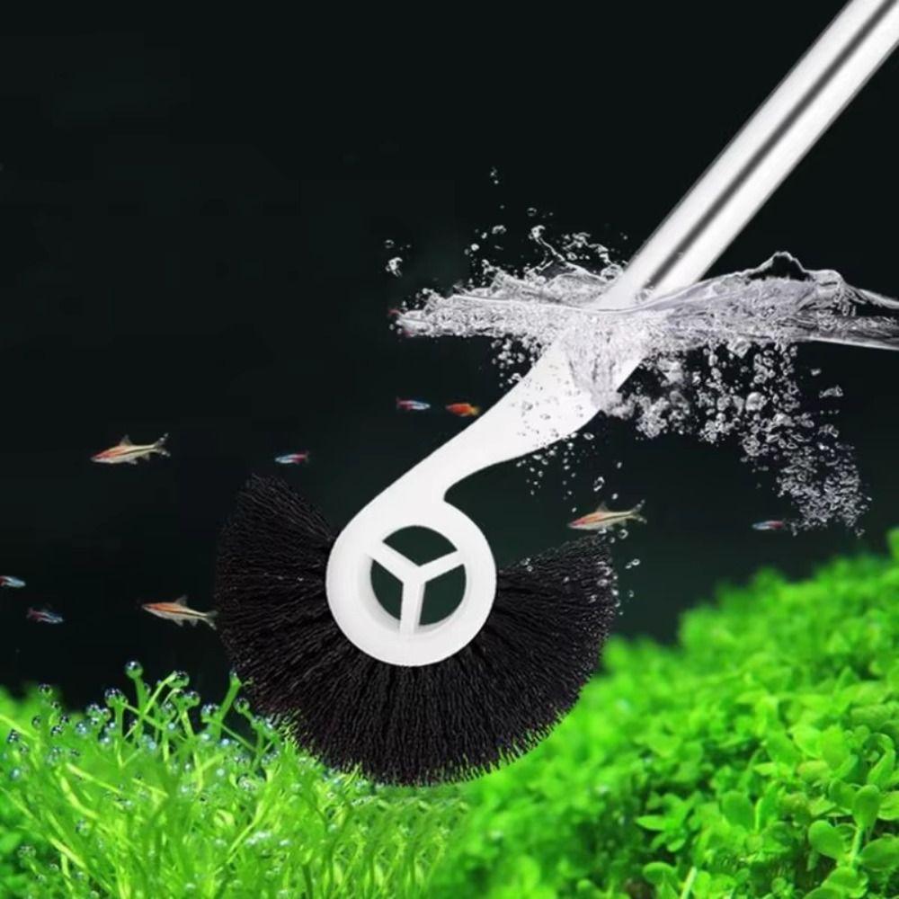 Clean Fish Tank Brush Dlouhá rukojeť Haima Brush Odolný nástroj na odstraňování řas