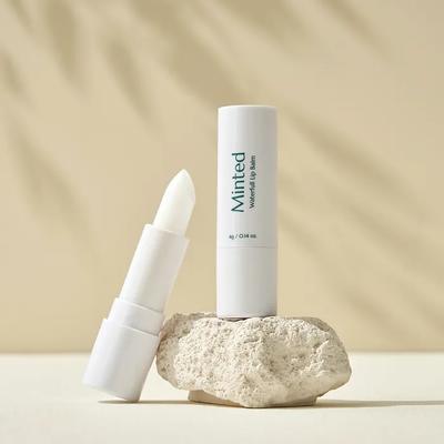 _Waterfull Shea Butter Lip Balm (2 Pack)