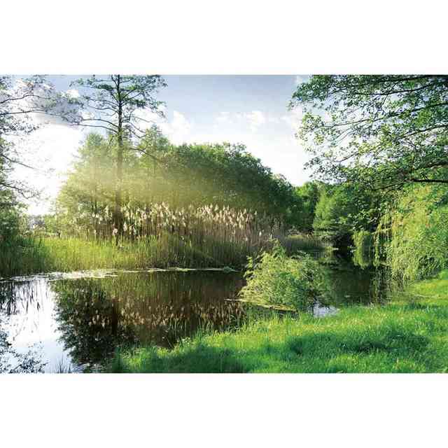 

Зеленый весенний фон с изображением реки и дерева, натуральный цветок, трава, пейзаж, фон для фотостудии, праздничный декор, реквизит для фотосъемки 150X130cm