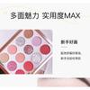 HEXZE - 12 Colors Eyeshadow Palette - P03 Desert Stardust