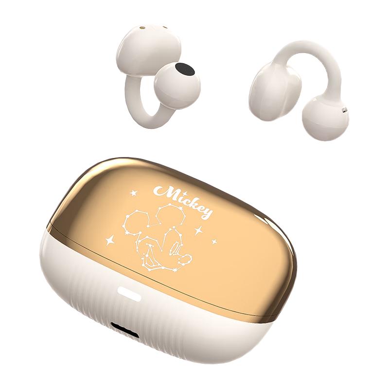 Disney Character Wireless Bluetooth Earphones