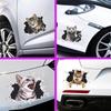 Accesorii de exterior – Autocolante pentru auto