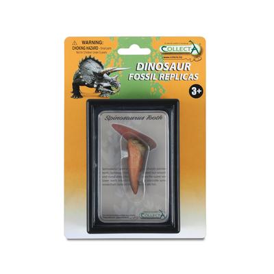CollectA Tooth of Spinosaurus In Display Case