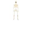 40/90cm Halloween Party Skeleton Decoration
