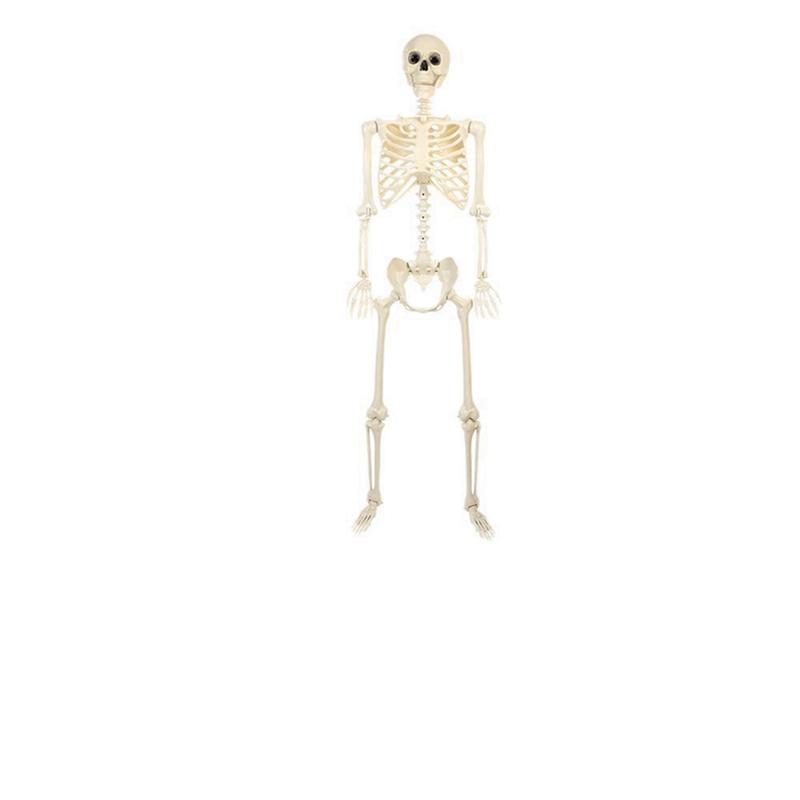40/90cm Halloween Party Skeleton Decoration