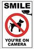 Veuillez Faire Attention À La Plaque Métallique Panneau Pas de Crotte de Chien Panneau Extérieur Veuillez Nettoyer Panneau d'Avertissement Crotte de Chien 8x12 Pouces