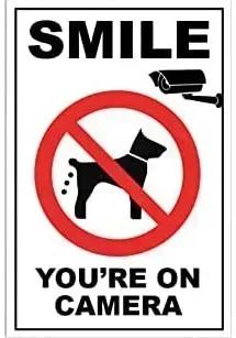 Veuillez Faire Attention À La Plaque Métallique Panneau Pas de Crotte de Chien Panneau Extérieur Veuillez Nettoyer Panneau d'Avertissement Crotte de Chien 8x12 Pouces