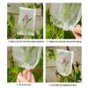 20Pcs Insect-proof Fruit Protection Bags Plants Grow Bag  Garden Greenhouse Supplies