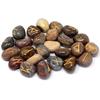 Rune Stones Set Fancy Jasper 25 Stones Pouch