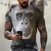 Summer New Men's T-shirt 3D Print Fun Gorilla Fashion Trend Street Comfortable Casual Top Round Neck Plus Size Short Sleeve