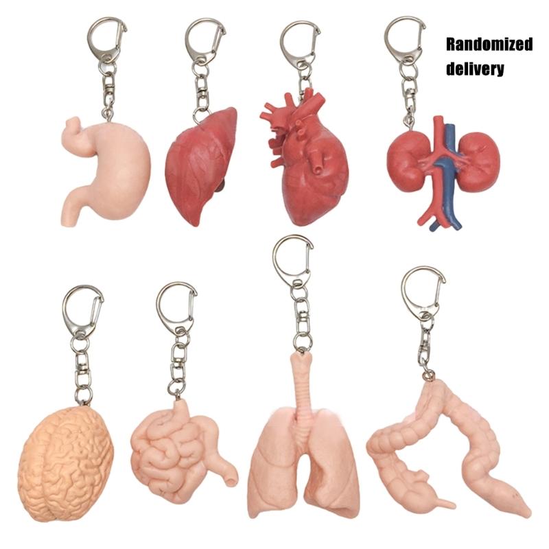 Unique Organ Shaped Keychain Symbolizing Emotional Release Crafted From Sturdy Resin Materials With Intricate Detailing 1
