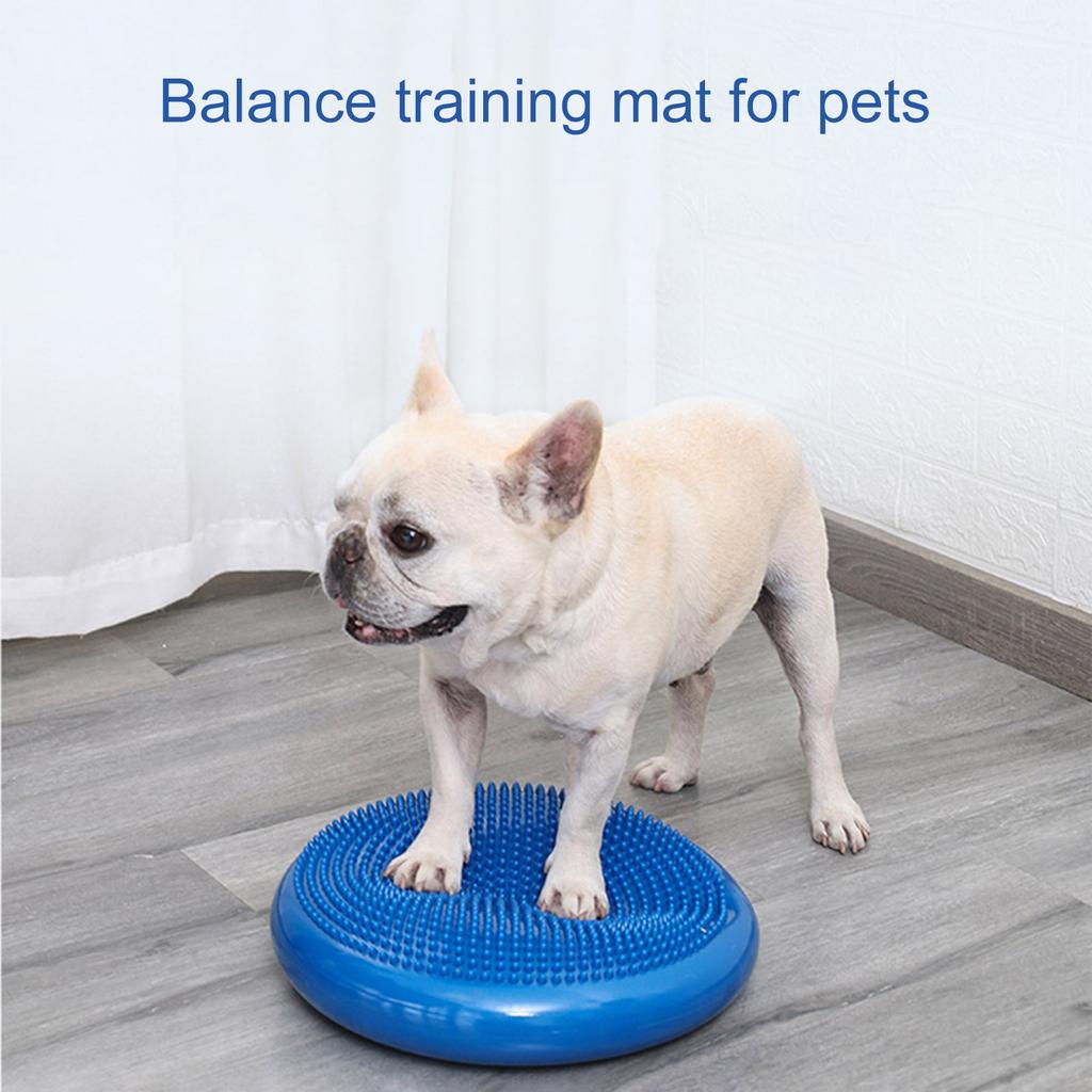 Poduszka równoważna Trener dla Psa Wiggle Tool Interaktywna Zabawka Treningowa na Stabilność Elastyczność Koordynację