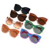 Fashion Stylish Sun Glasses for Women Cat Eye Shape UV Protection Men Sunglasses  Travelling Women Sunglass