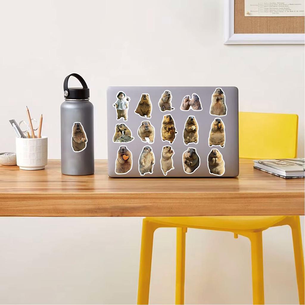 50PCS Groundhog Sticker Harajuku Guitar Phone Cafe Art Aesthetic Landscape Watercolor Laptop Luggage Wall Art Suitcase Decals