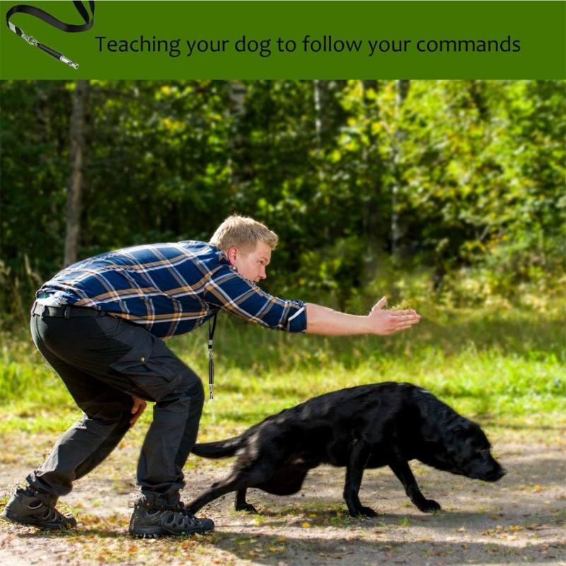 Husdjursträningsvissla Hundvissla Hundvissla Husdjurshundvissla Ultraljudshundvissla Hundvissla