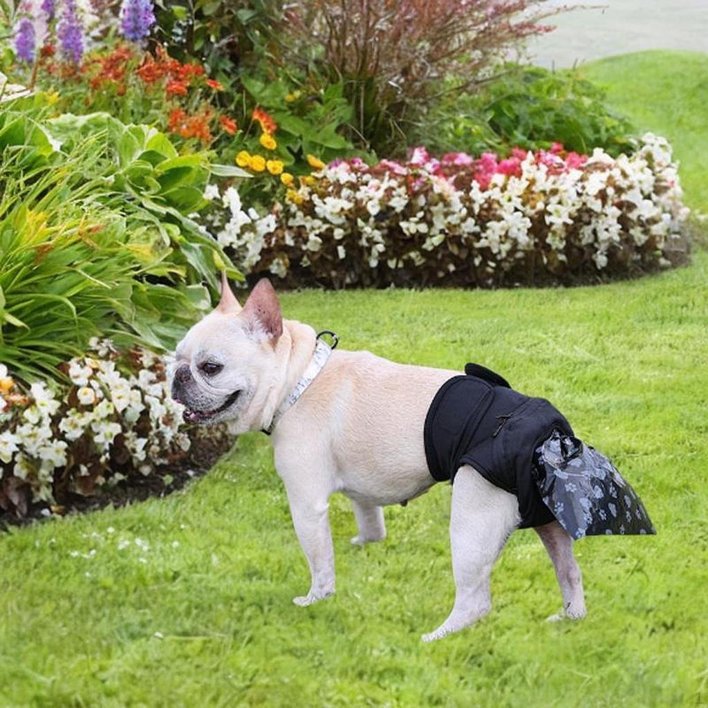 Dog Diaper Pants Waterproof Poop Collection for Long Travel Senior XS
