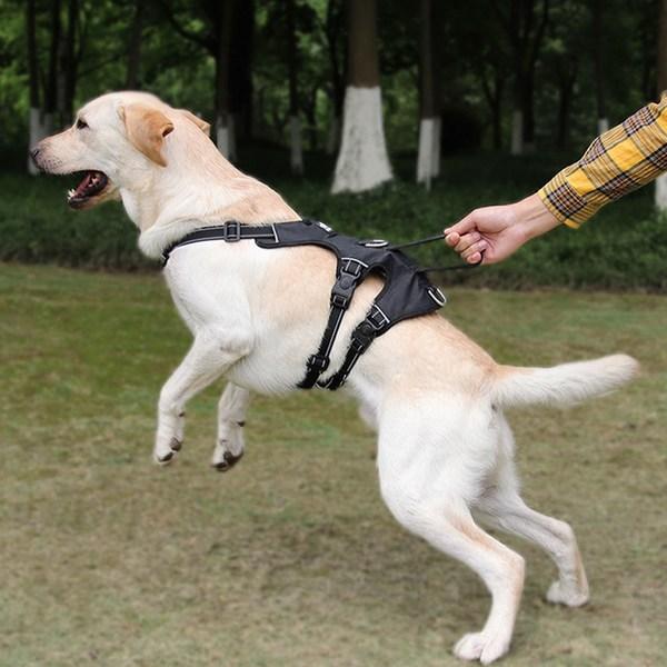 Beanshop Dog Harness Leash Set 3-stage Chest Strap, Black