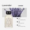 Luxurious Flameless Aromatherapy Oil for Lasting Indoor Fragrance: Bedroom Decor, Hotel Freshener, Incense.