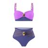 2025 Gold-Plated Color Block High Waist Bikini for Women