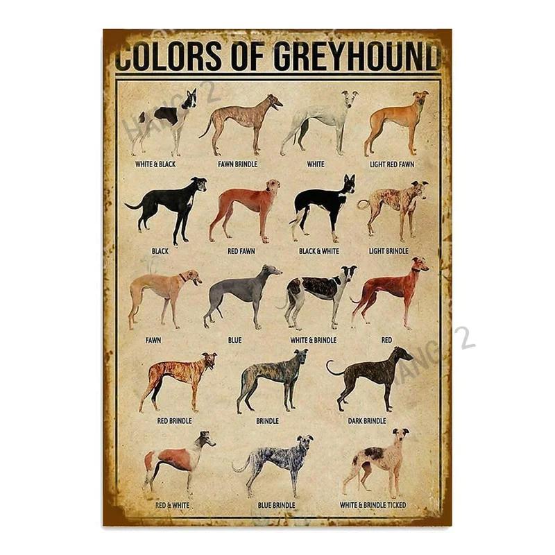 Schilder Blech Metall Poster Du hast gelächelt und ich habe mich verliebt Greyhound Hängeschilder für Zuhause Dekorative Plakette 8X12 oder 12x16 Zoll