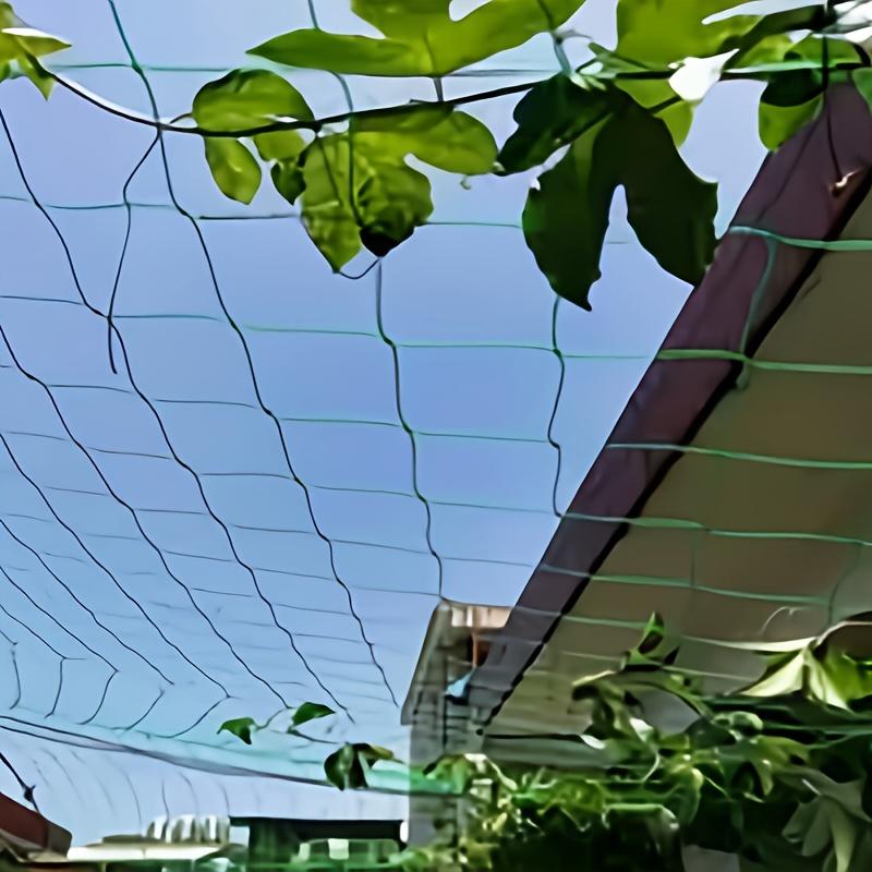 High-quality Garden Climbing Netting Strong PE Plant Trellis for Climbing Plants Loofah Morning Glory Flowers Cucumber Vine