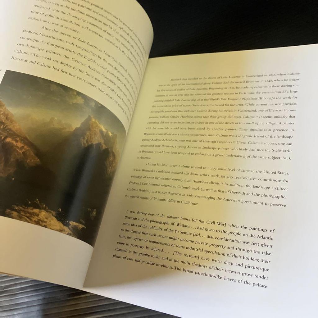 [USED] Books by Alexandre Karam Alpine Views