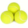 3pcs PrimePets Tennis Balls For Dogs, 2.5 Inch Thick Bouncy Dog Ball, Interactive Dog Toys For Indoor Outdoor, Fetch Balls For M