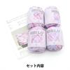 Sawada Knitting Kit Basket Kit Berry Soda "NAILY A-001"
