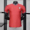 2026 World Cup Football Jerseys: France, Argentina, Germany, Spain, Portugal, England, Norway