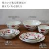 EAST stůl Hlavní jídlo Červené Japonské Bezpečný talíř vyrobený v mikrovlnné troubě, Ručně malovaný obraz, 24 cm, Nádobí, 16-020, Japonsko,