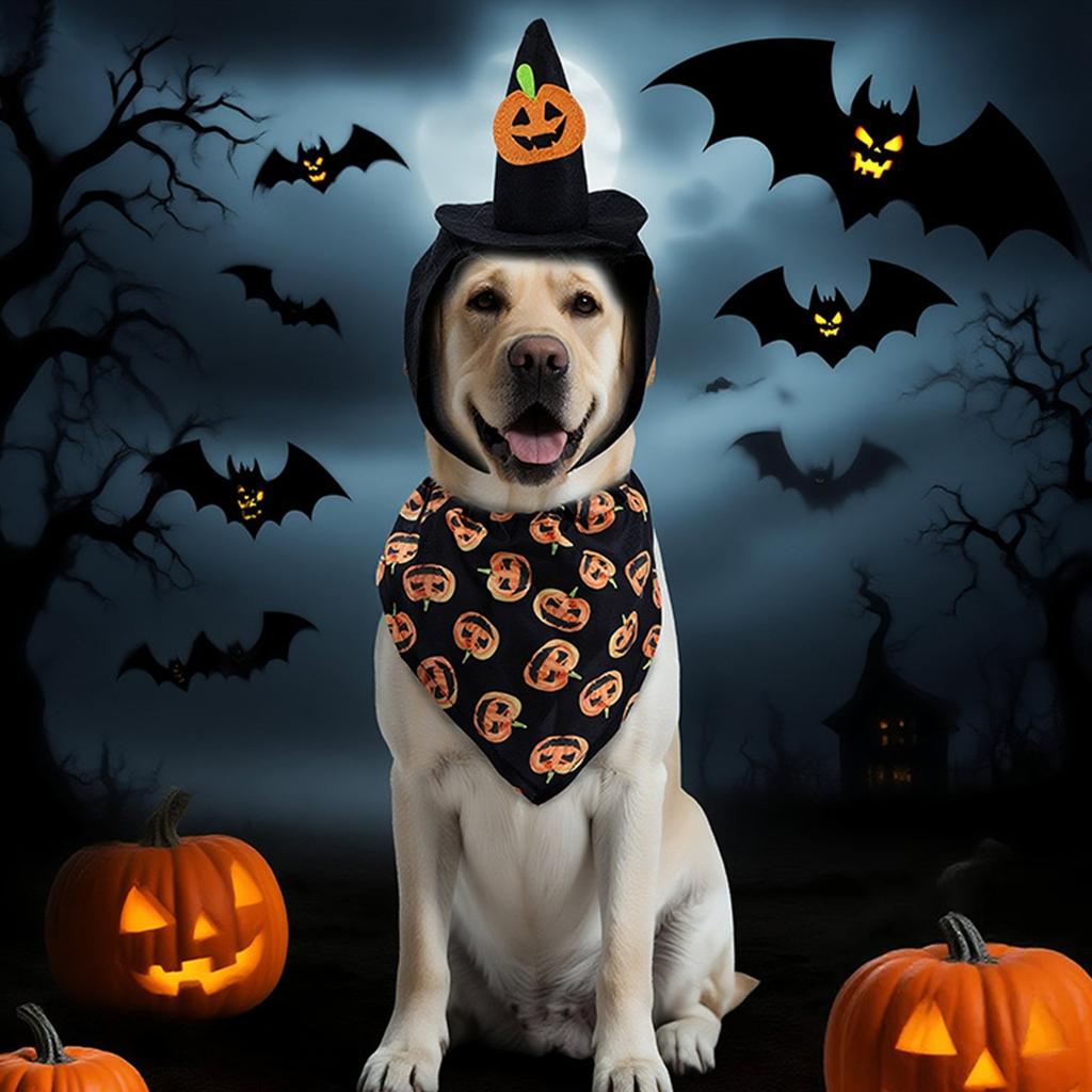 Halloween Pet Hat Set:3 Styles(purple ,black Pumpkin,orange Spider)with Matching Bandanas!Perfect For Small/medium Dogs.Easy To Wear For Spooky Photos