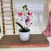 Botanical Phalaenopsis Faux Fake Flower Props For Bridal Events And Party Decor