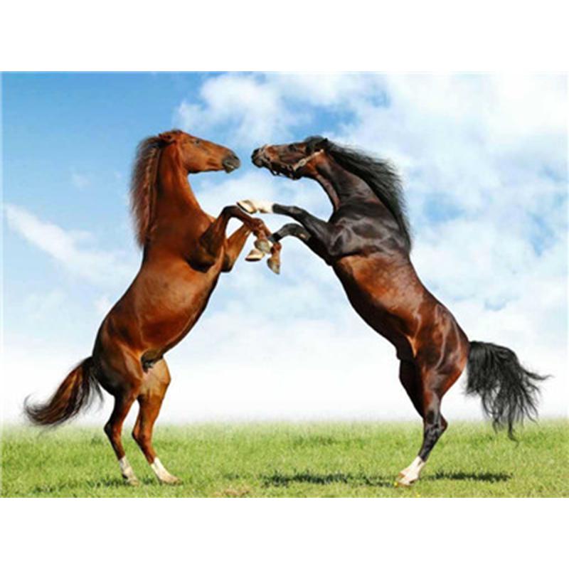 Pferd DIY 5D Diamant Malerei Kreuzstich Tiere Diamant Stickerei voller runder Bohrer Strass Mosaik Home Decor Geschenk
