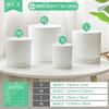 T4U Plastic Planter Set of 4 with Saucers, 10/12.5/15/17.5cm, Multiple Drainage Holes, Round, Modern Design, Suitable for Indoor and Outdoor Plants, H