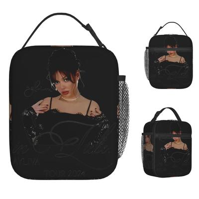 Ayliva Singer Lunch Bag Funny Lunch Box School Portable Tote Food Bags For Adult Waterproof Graphic Cooler Bag
