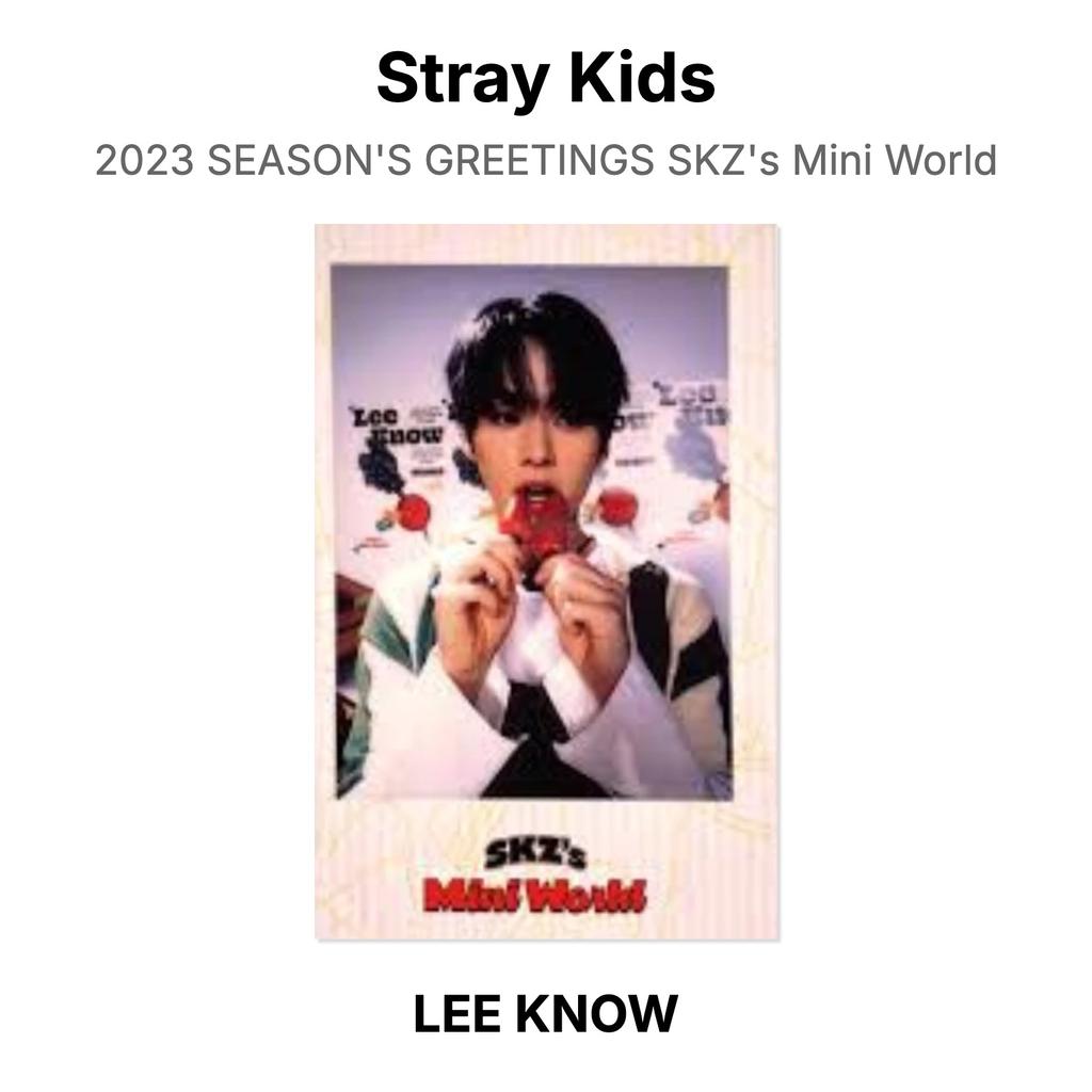 Stray Kids 2023 SEASON'S GREETINGS SKZ's Mini World Official Photocard