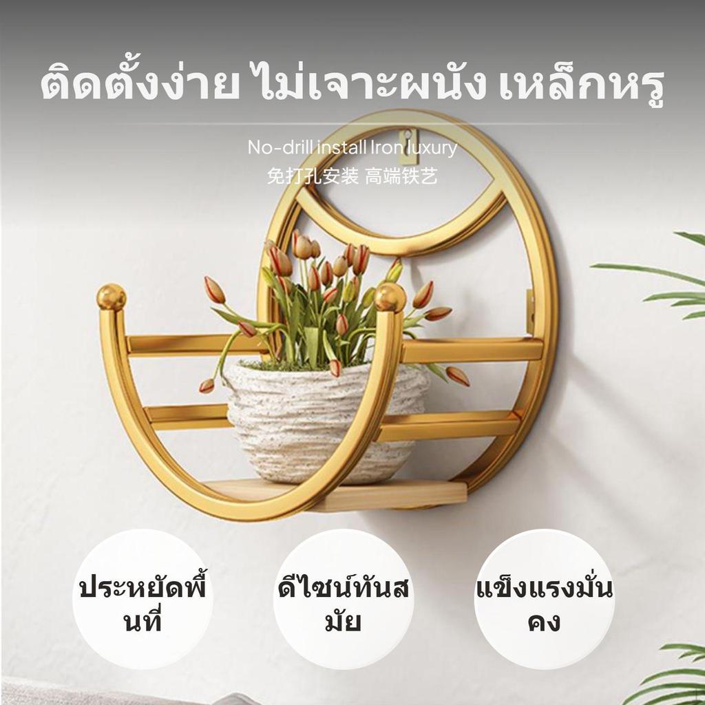 Iron Wall Mounted Planter Rack, NoDrill Hanging Flower Shelf, Art Display for Living Room Balcony,