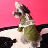 Dog Autumn and Winter Clothing Jacket Yorkshire Schnauzer Teddy Bear Dog Coat Puppy Clothes Designer Dog Clothes Winter Coat