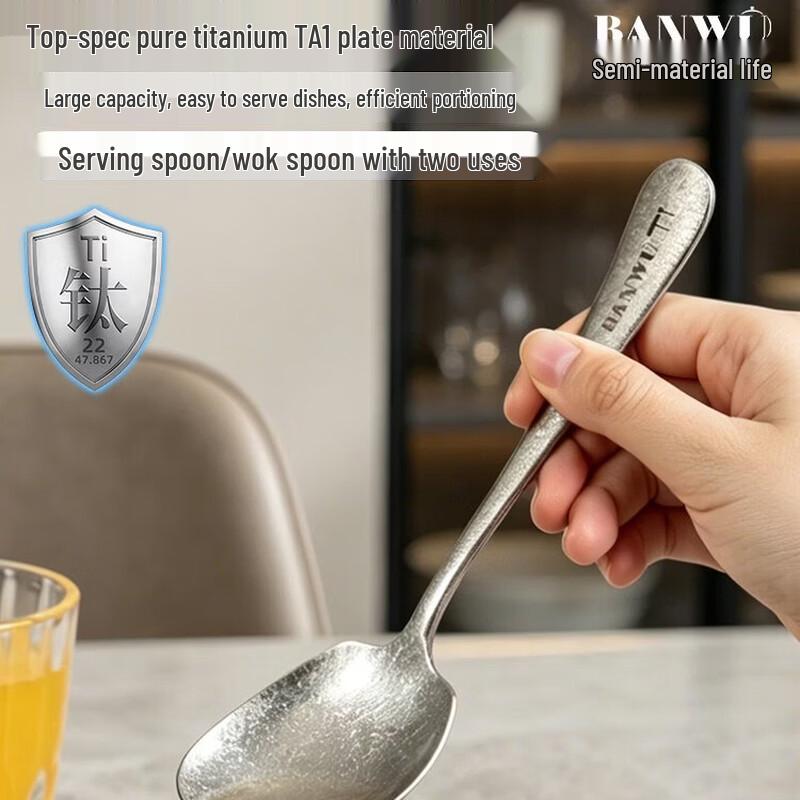 Banwu Life Silver Long Handle Large Serving Spoon