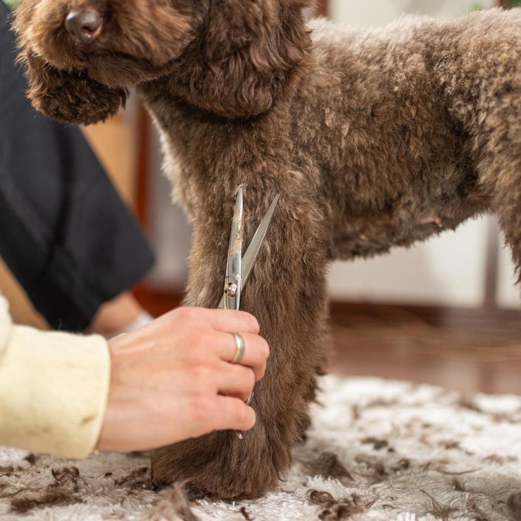 Electric Dog Clipper, Professional Grooming Kit, Pets Hair Trimmers, 3-Speed, Wireless, LED Display
