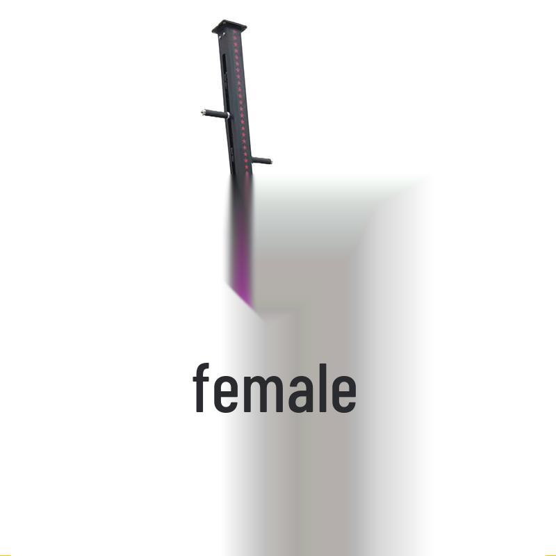 XinZhen PPJ-99 Manual Vertical Climber